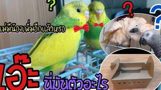 ตอน จัสตินมีน้องตัวที่ 4 เพิ่มแล้ว