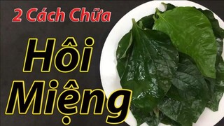 2 cách chữa dứt điểm hôi miệng tại nhà bằng lá lốt, hiệu quả bất ngờ không phải ai cũng biết