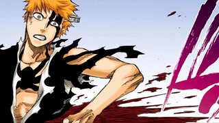 Tensuo Zangetsu yang sebenarnya telah dibebaskan, dan pertempuran berdarah tersebut menggambarkan Sw