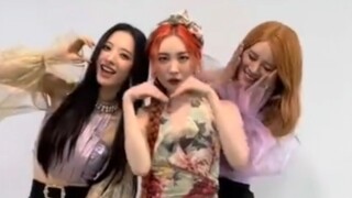 李宣美 x 宇宙少女《Heart Burn》舞蹈视频公开！