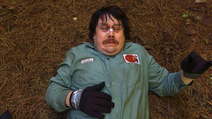 Man suffers a fatal attack by a giant mosquito, a human drama