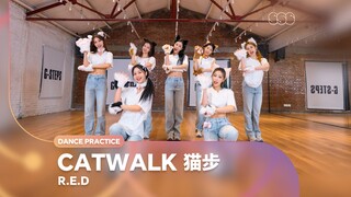 [RED Group] Versi Ruang Latihan "Catwalk"