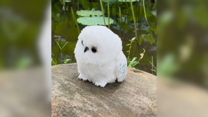 These baby animals are so cute—every single one is adorable!