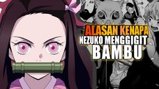 Inilah Alasan Mengapa Nezuko Menggigit Bambu