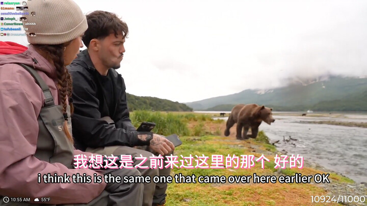 Streamer’s live stream: a wild brown bear fishes up close—thought their life was over