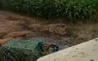 Jatuh ke lubang kotoran