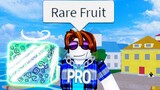 The Roblox Blox Fruits Experience 3