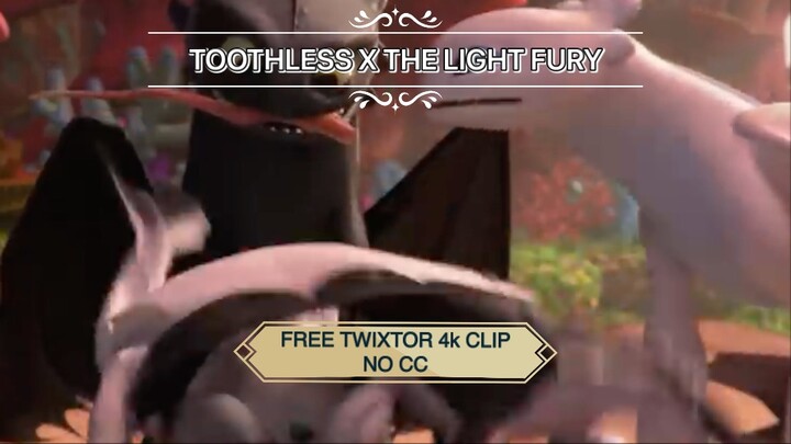 Free Clip Toothless x LightFury 4K