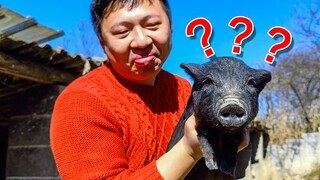 "หมูน้อย เป็นเพื่อนกันเถอะ โอเคไหม? แบบที่ใส่ยี่หร่าและพริกป่น ปรุงมาได้สมบูรณ์แบบ"