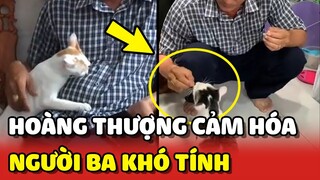 Cách các Hoàng Thượng CẢM HÓA người Ba KHÓ TÍNH của con Sen 😂 | Yêu Lu