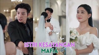 Sang Mafia mengacaukan pernikahan si Perawat cantik - Istri Kesayangan Mafia