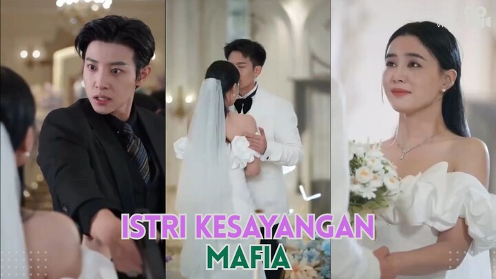 Sang Mafia mengacaukan pernikahan si Perawat cantik - Istri Kesayangan Mafia