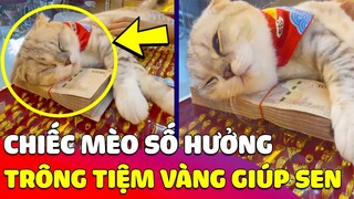 Xuất hiện chú Mèo THẦN TÀI trông tiệm vàng giúp con Sen mà cứ ngỡ như ĐI CHƠI vì quá sướng 😎 Gâu Đần