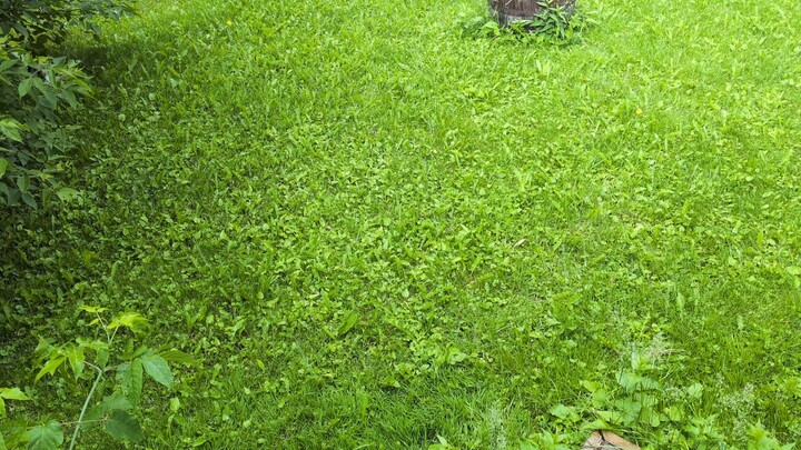 Winnipeg Thunderstorm - 06/19/2026.