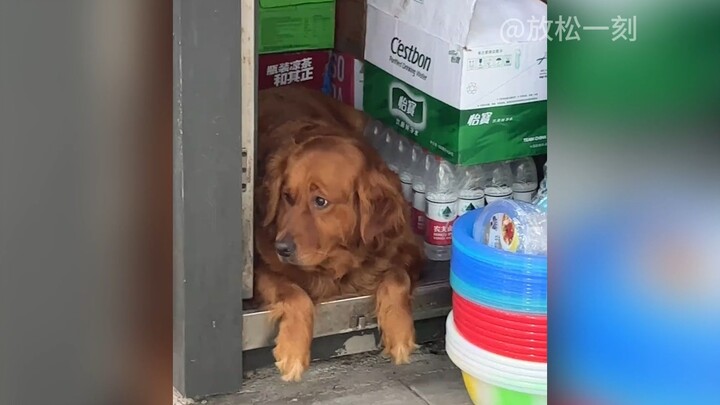 Don’t call me fat—being chubby just means I’m pretty strong!