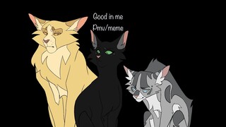 Good In Me [hollyleaf PMV/meme?]