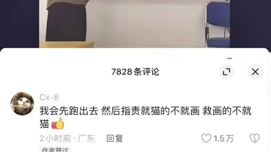 Chẳng lẽ anh ấy thực sự là thiên tài?