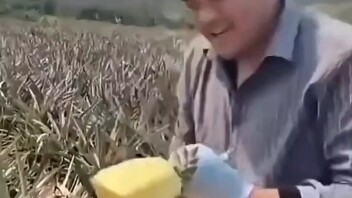 يشرب الخمر قليلاً