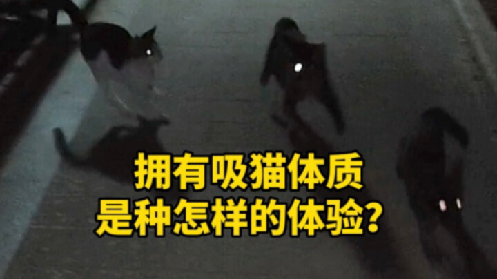 Vô cùng kỳ diệu, ngọt ngào, nặng nề, nỗ lực, lại vừa bất lực…