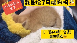 小野猫都这么黏人吗～