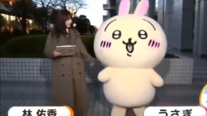 Usagi guest-stars in weather forecast