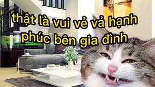 gửi cho những ai sinh nhật 😘