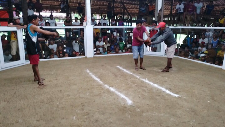 Wiljim Dy ( WDY )  sweater win