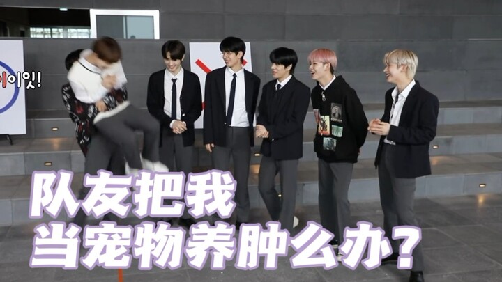 【ENHYPEN】【ยองจินวอน】ทำไงดีเมื่อเพื่อนร่วมวงเลี้ยงฉันเหมือนสัตว์เลี้ยง? “กิจวัตรประจำวันของ ENHYPEN ก