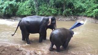 ช่วงนี้อากาศมันร้อนแม่ทองศรีกับน้ำเพชรมาเล่นน้ำตก