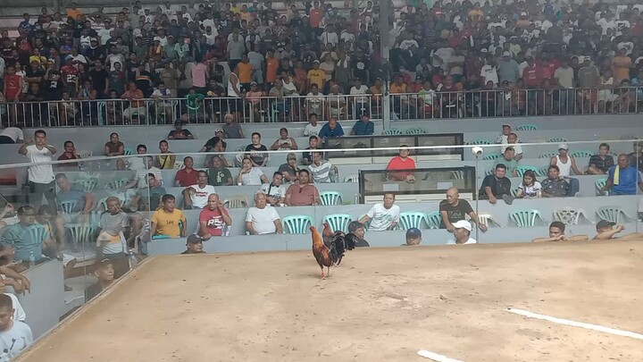 2wins sa tagum fyt.no.2 babae kalaban..fastestkill...win