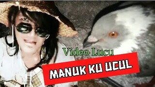 MANUK KU UCUL