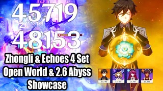 Zhongli & Echoes 4 Set DMG Showcase - Should you be Farming this Domain For DPS?
