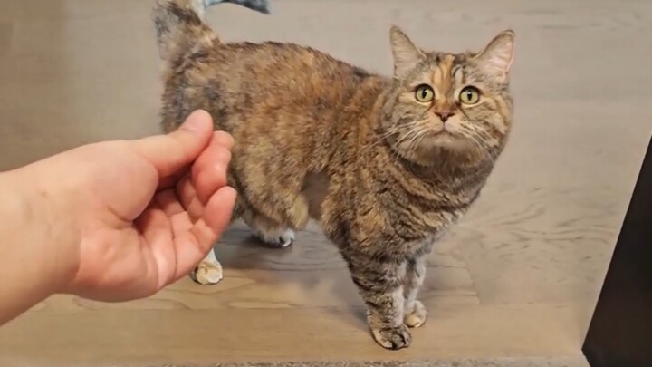 I’m not falling for your tricks again!