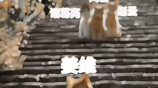 丞相，你看到了吗……
