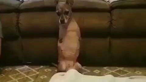 Semuanya memiliki semangat