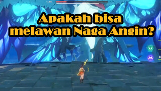 Apakah bisa melawan Naga Angin?