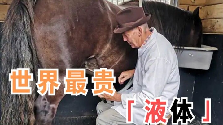 为什么马的体液是地球上最昂贵的液体，大约80毫升就价值十万美元