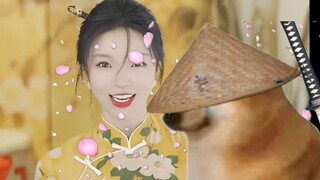 ขอบคุณนะชีมส์