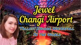 HOW TO GET TO JEWEL CHANGI AIRPORT? | TALLEST WATERFALL IN THE WORLD