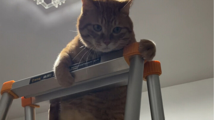 Một ngày bận rộn của thợ sửa xe Cam belike: