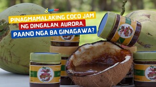 Pinagmamalaking coco jam ng Dingalan, Aurora, paano nga ba ginagawa? | I Juander