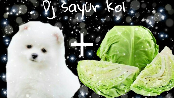 Dj sayur kol // gacha life