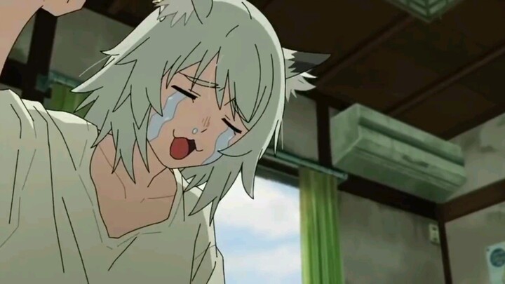 [Short AMV] Yani neko - Hitorinbo Envy