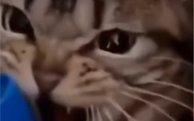 Tier 10 Beast Language