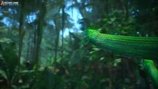 Little Fairy Yao episode 18 sub indo