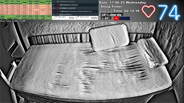 Sleep Stream 11.06.2025