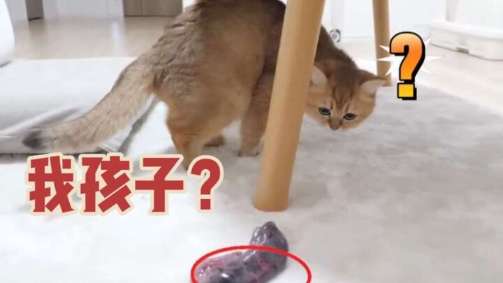 Cat Mom: That’s not right—I’m pretty sure I just farted.