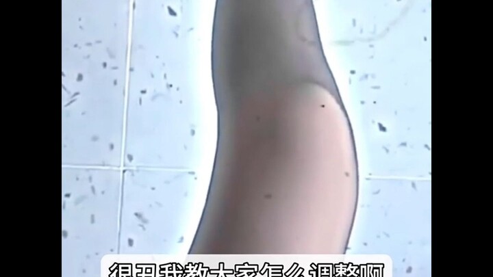 学会的扣一，没学会的口眼珠子