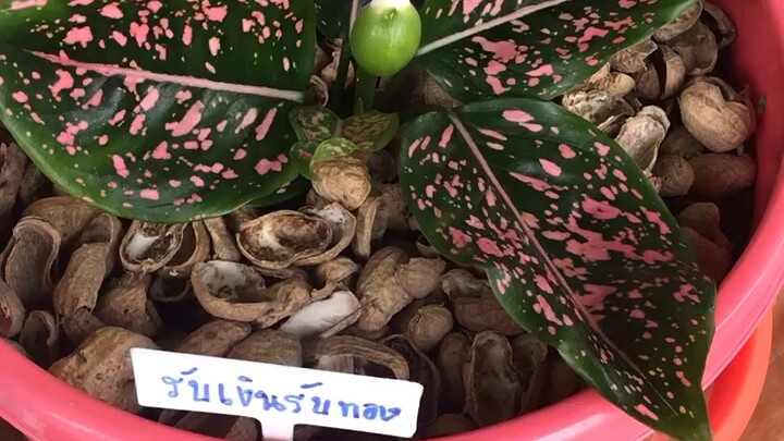 รับเงินรับทอง