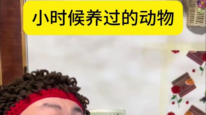 你们还养过啥动物，一人分饰多角，东北 ，陈阳不沉